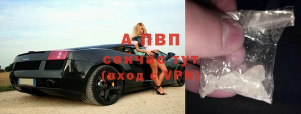 apvp Богородск