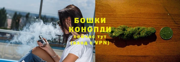 apvp Богородск