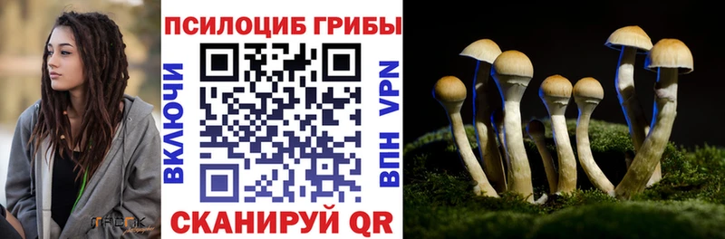 Псилоцибиновые грибы Cubensis  Южноуральск 